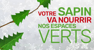 Collecte des sapins