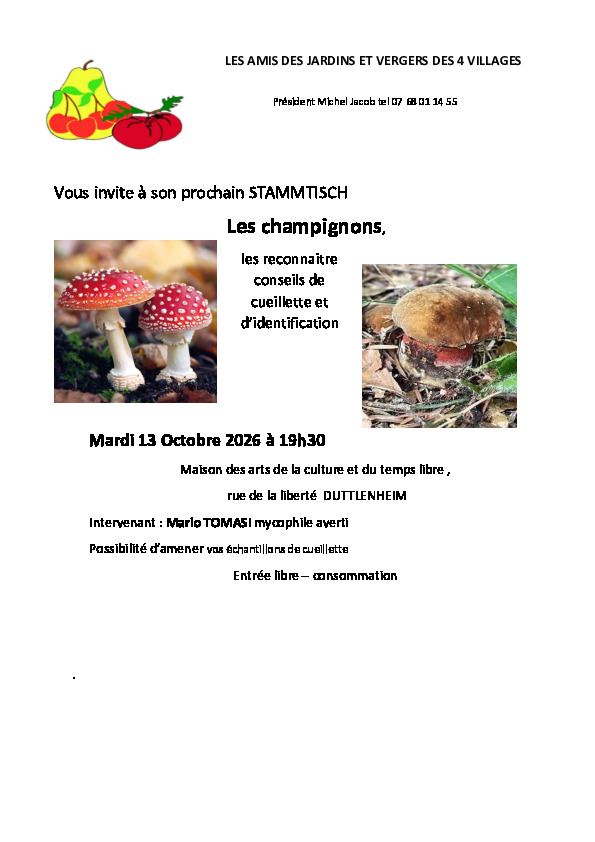 Stammtisch : tout savoir sur les champignons
