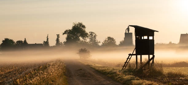 Battue de chasse