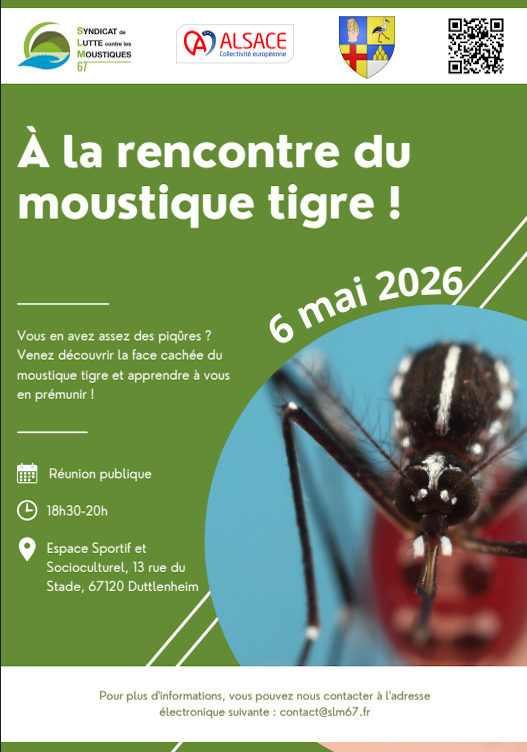 À la rencontre du moustique tigre